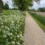 De Koningsspil - Daar Bij Kempermolen Breedenbroek