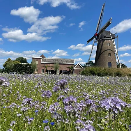 De Koningsspil - Daar Bij Kempermolen Breedenbroek