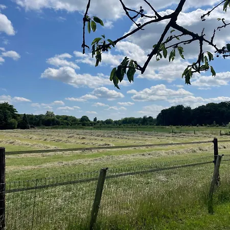 Appartamento De Koningsspil - Daar Bij Kempermolen Breedenbroek