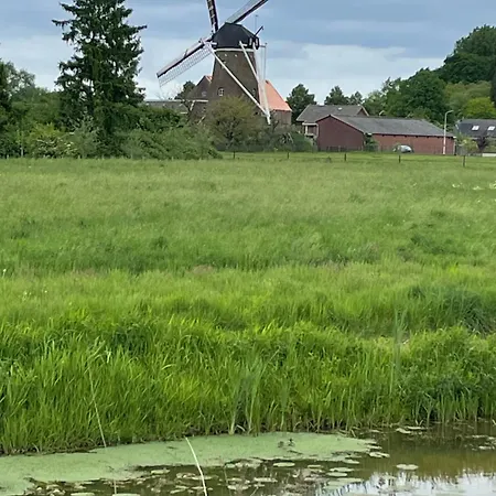 De Koningsspil - Daar Bij Kempermolen