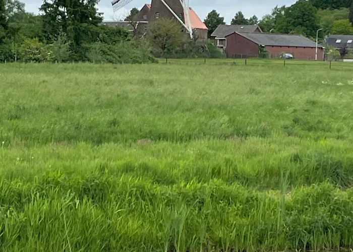 De Koningsspil - Daar Bij Kempermolen
