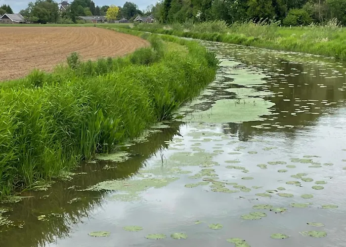 De Koningsspil - Daar Bij Kempermolen Appartement