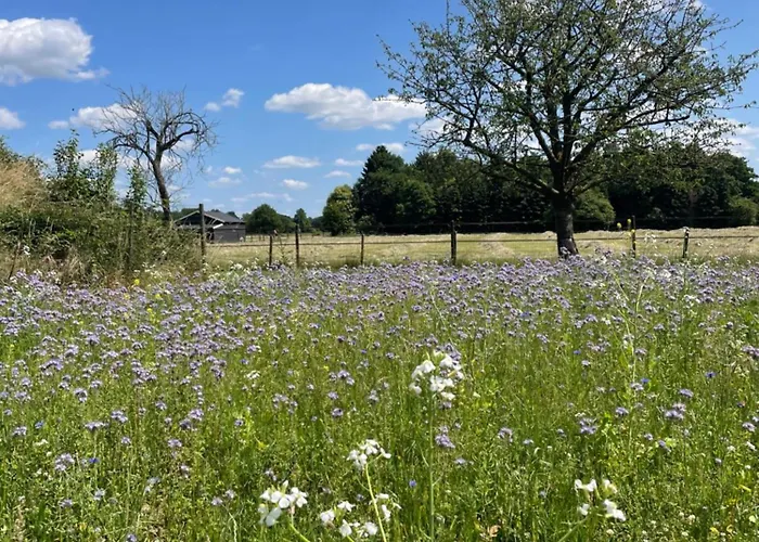 Appartement De Koningsspil - Daar Bij Kempermolen Breedenbroek