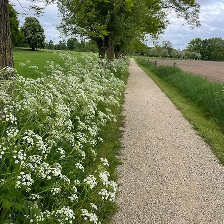 De Koningsspil - Daar Bij Kempermolen - Achterhoek Breedenbroek