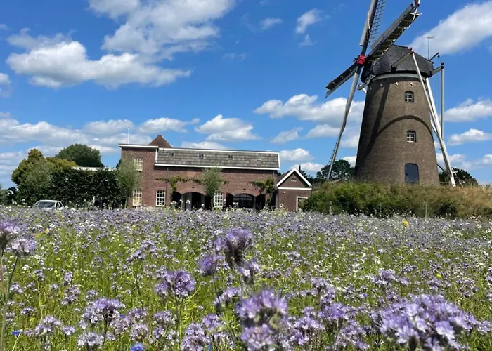 De Koningsspil - Daar Bij Kempermolen Breedenbroek