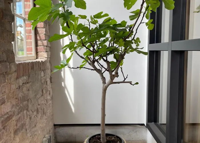 Apartamento De Koningsspil - Daar Bij Kempermolen *