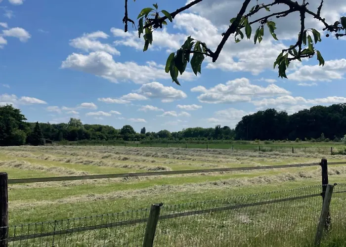 Apartamento De Koningsspil - Daar Bij Kempermolen Breedenbroek