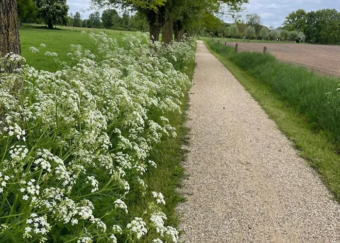 De Koningsspil - Daar Bij Kempermolen Breedenbroek